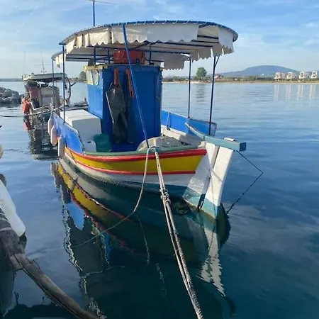 Goldfish Chalkidiki - Affordable Luxury *