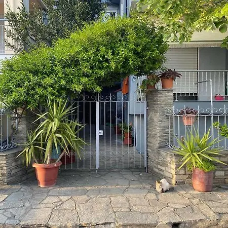 Goldfish Chalkidiki - Affordable Luxury