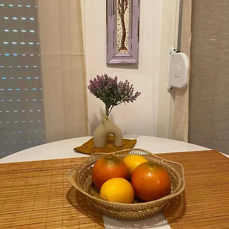 Goldfish Chalkidiki - Affordable Luxury Nea Plagia