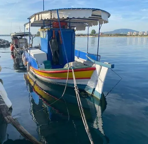 Goldfish Chalkidiki - Affordable Luxury *