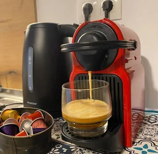 Goldfish Chalkidiki - Affordable Luxury